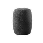 Audio Technica AT8112 Windscreen for ATM610 / AE4100 / AE6100