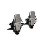 sE Electronics T2 Large-Diaphragm Condenser Microphone Matched Pair