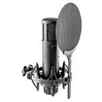sE Electronics SE2200 Condenser Microphone