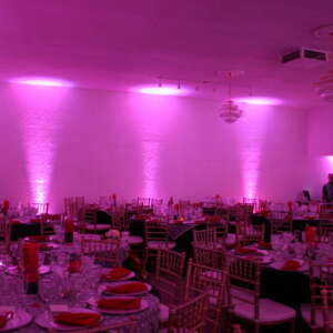 ADJ Mega TRIPAR Profile PLUS LED Par Can