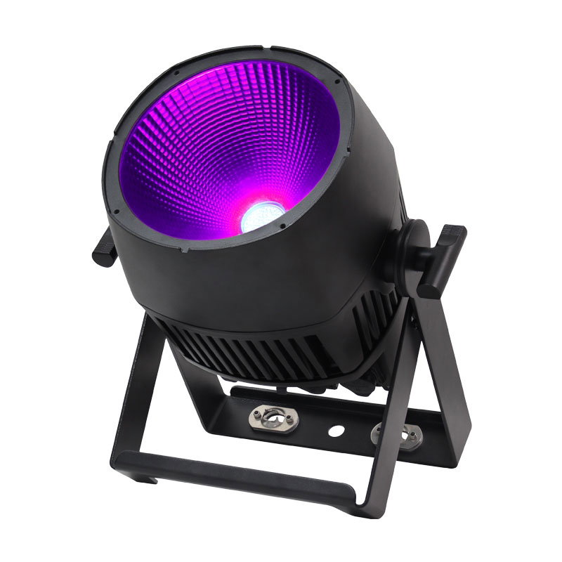 Elumen8 Endura UV100 COB Exterior Fixture Elumen8 Endura UV100 COB Exterior Fixture