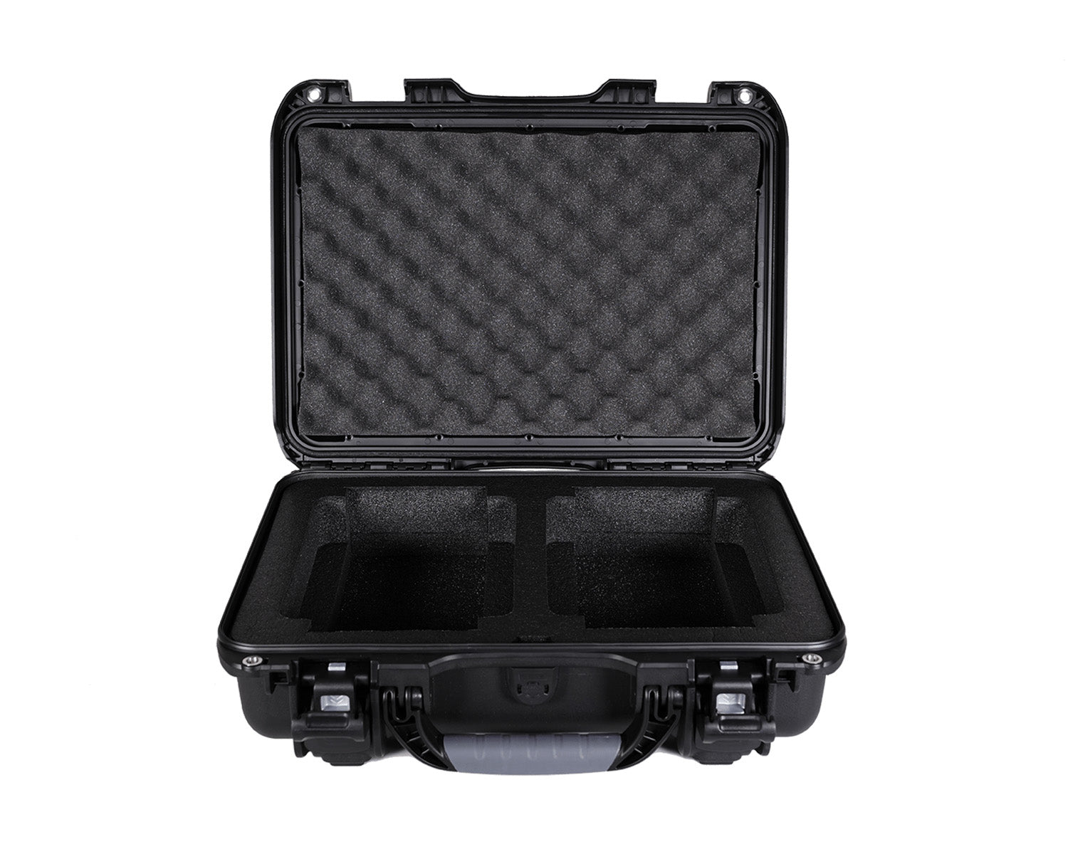 Theatrixx XVV-CC2-B NANUK Carry Case for 2x B-Size xVision Converters